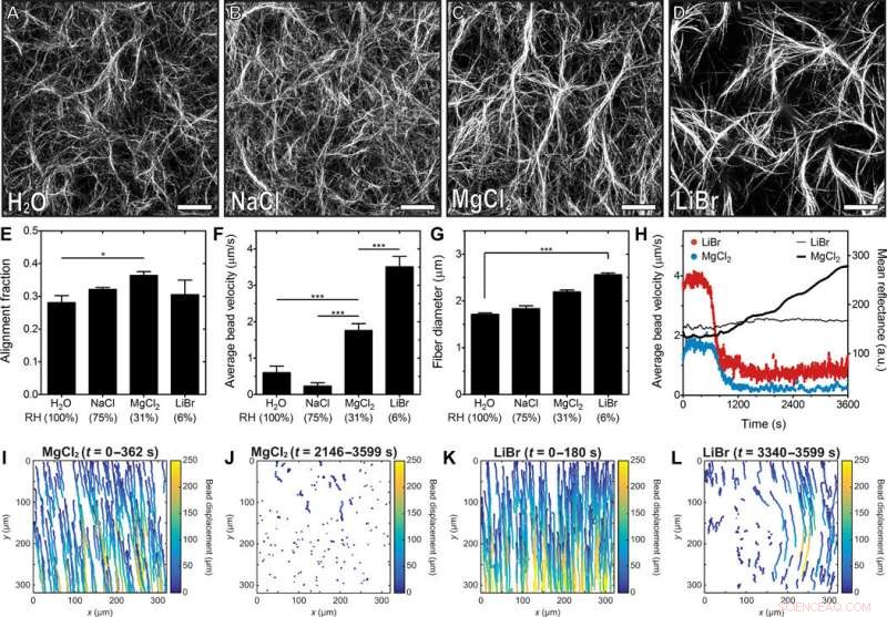 Harnessing Marangoni Flows for Precise Alignment of Cell‑Loaded Fibrillar Hydrogels