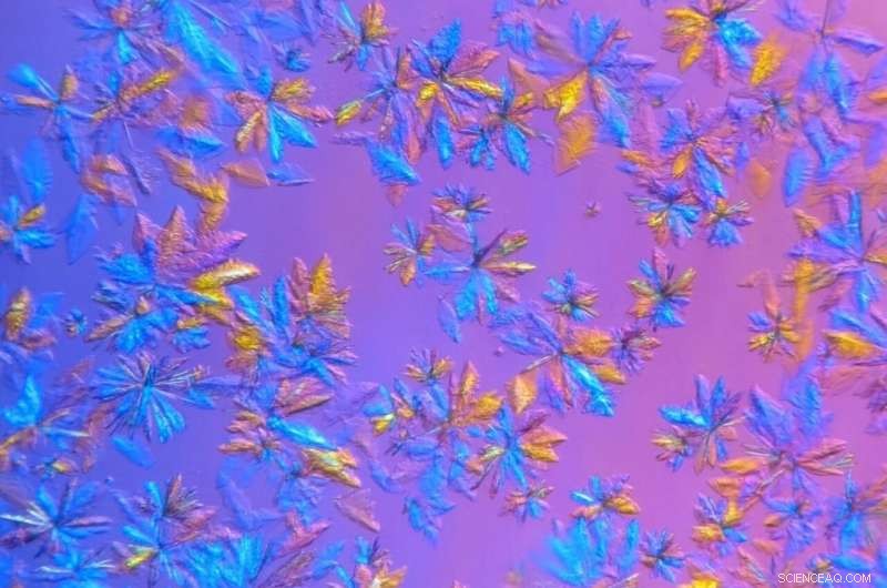 X‑Ray Analysis Reveals Structural Dynamics of SARS‑CoV‑2 Main Protease