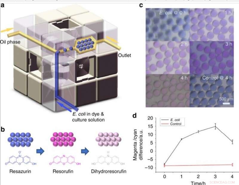 Revolutionizing Lab‑On‑a‑Cube: The Rubik’s Microfluidic System