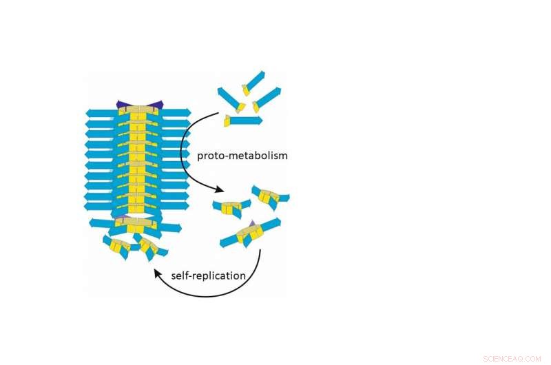 Chemically Synthesized Molecules Exhibit Fundamental Metabolic Behaviors