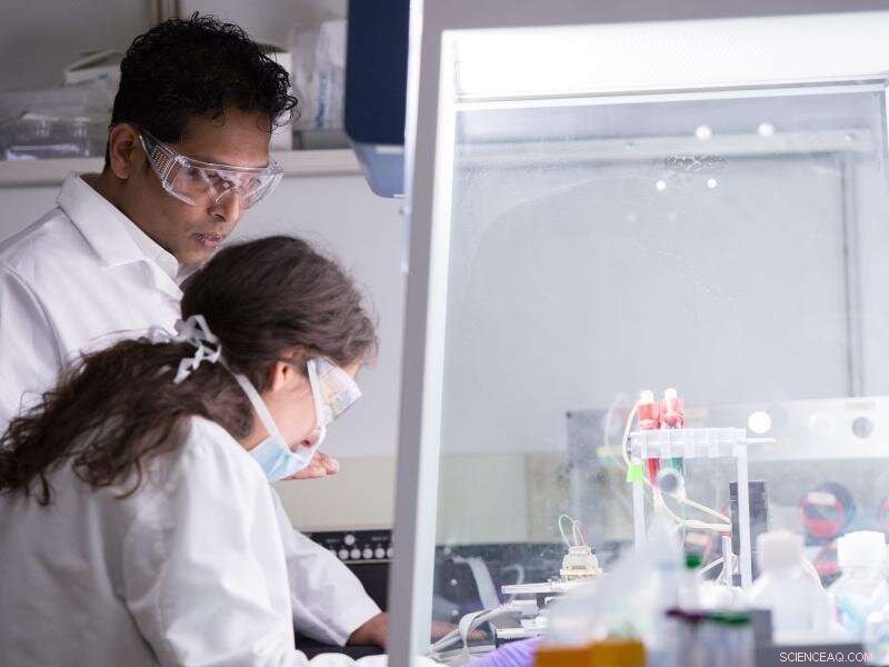 Designer Peptides Show Promise in Blocking Viruses, Prompting Further Research