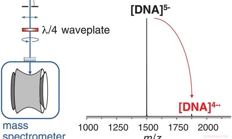 Advanced Mass Spectrometry Techniques for Isolating Guanine-Rich DNA Ions