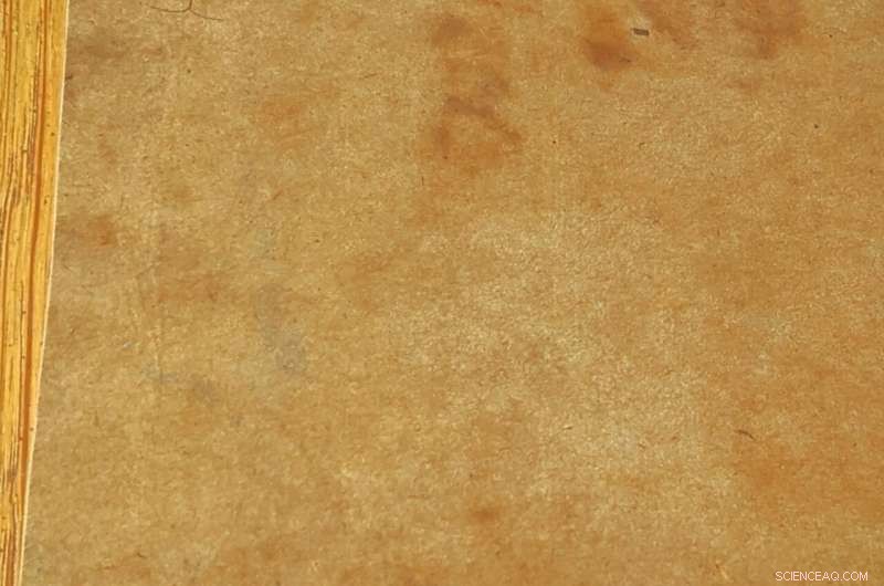 Purdue University Advances Sustainable Composite Fiberboard Production