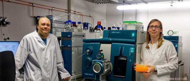 How Chanterelle Mushrooms Elevate Flavor: A Taste Enhancer