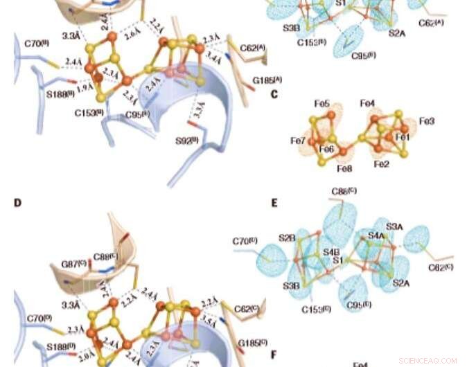 Unveiling a Dynamic Metallocofactor in Mo‑Nitrogenase: Structural Insights into Dinitrogen Reduction