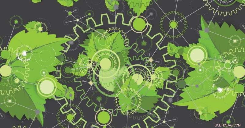 Turning CO₂ into Industrial Formic Acid: How Artificial Photosynthesis Drives Cleaner Energy
