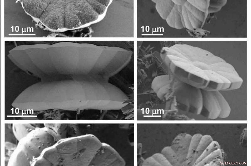 Chirality and Structural Complexity in Single Crystals: From Molecules to Morphology