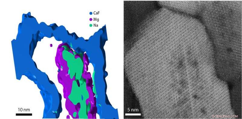 Northwestern University Study Uncovers Atomic-Scale Enamel Flaws That Trigger Tooth Decay