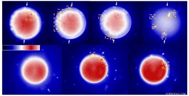 Engineering Van der Waals Interactions in Liquid Crystal Microparticles with Complex Symmetry
