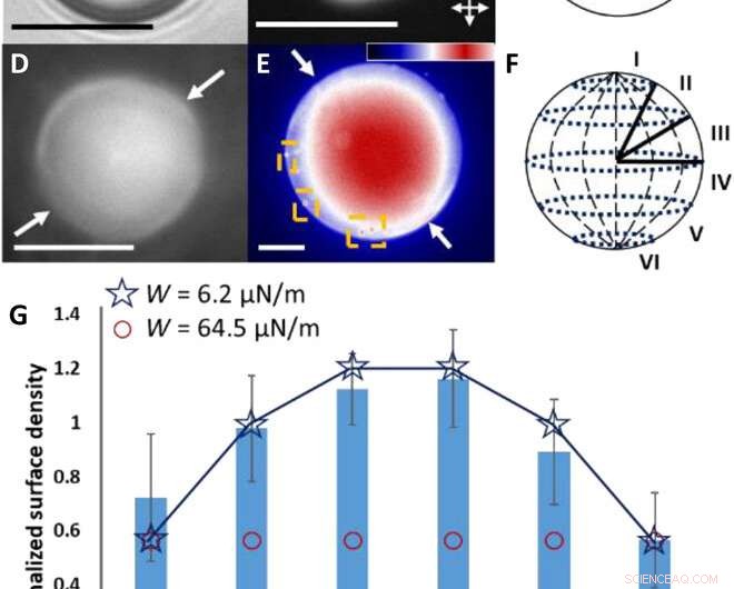 Engineering Van der Waals Interactions in Liquid Crystal Microparticles with Complex Symmetry