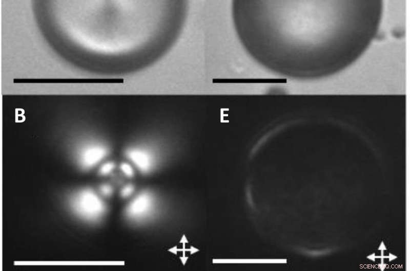 Engineering Van der Waals Interactions in Liquid Crystal Microparticles with Complex Symmetry