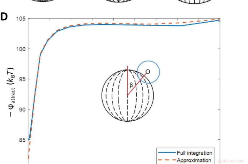Engineering Van der Waals Interactions in Liquid Crystal Microparticles with Complex Symmetry