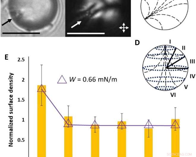 Engineering Van der Waals Interactions in Liquid Crystal Microparticles with Complex Symmetry