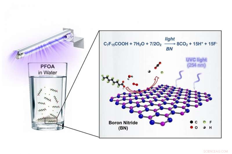 Boron Nitride Catalysts Effectively Break Down PFAS  Forever  Chemicals like PFOA and GenX