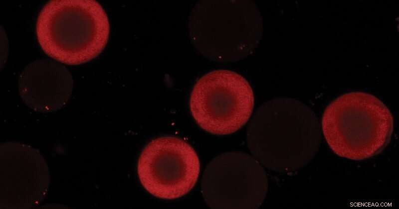 Revealing How Proteins Move: New Insights into Surface Diffusion