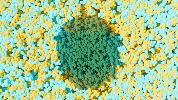 Synergistic Solvent-Water Interaction Enhances Biomass Deconstruction