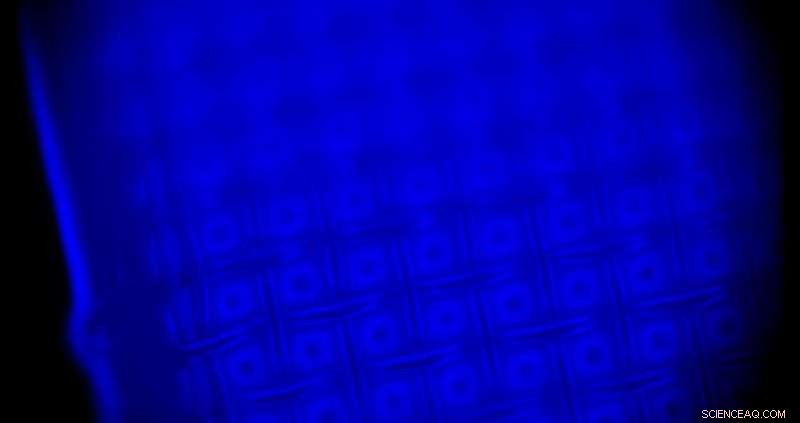 Revolutionary Chemiluminescence Technique Enables Microscopic Imaging in Complete Darkness