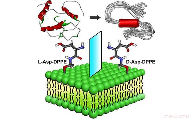 Advancements in Liposome-Based Inhibitors: New Insights into Development