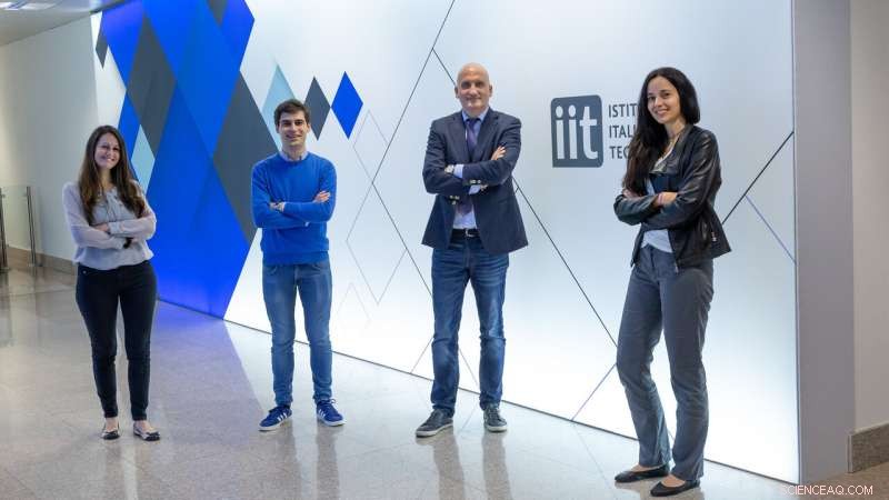 New NKCC1 Inhibitor Paves Way for Breakthrough Brain Disorder Therapies