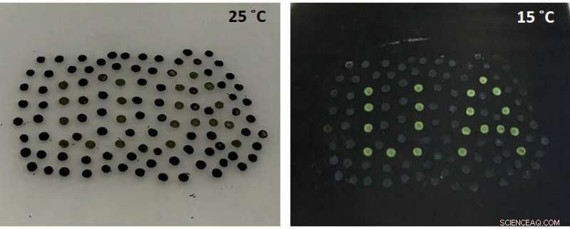 Scientists Explore Bird Feathers to Innovate Color Printing