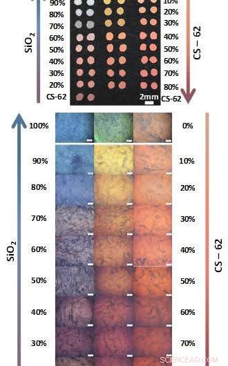 Scientists Explore Bird Feathers to Innovate Color Printing
