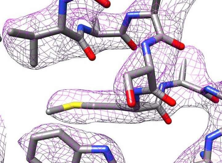 High-Resolution Cryo-EM: Affordable Technology Unlocks Detailed 3D Imaging