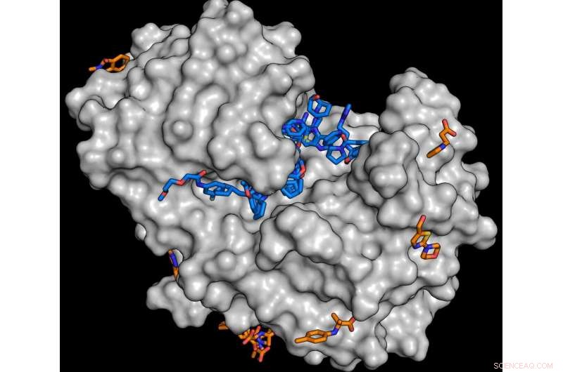 Accelerating Drug Discovery: A Novel Substance Library for Rapid Identification of Active Compounds