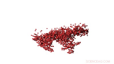 Advanced Microscopy Uncovers Nanoscale Coating Dynamics During Drying