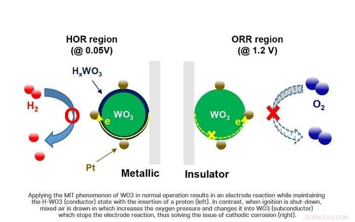 Scientists Resolve Durability Challenge in Hydrogen Fuel Cell Technology