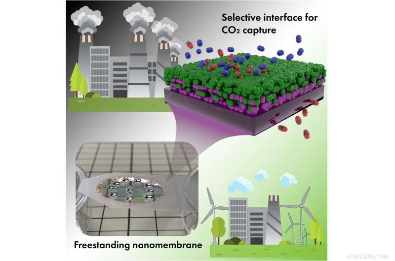 Ultra‑thin Polymeric Interface Enhances CO₂ Capture in High‑Performance Membranes