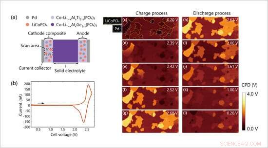 Visualizing Dynamic Potential Shifts in Battery Electrodes During Charge‑Discharge Cycles