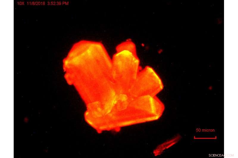 New Study Reveals Heavy Element Chemistry Shifts Under Extreme Pressure