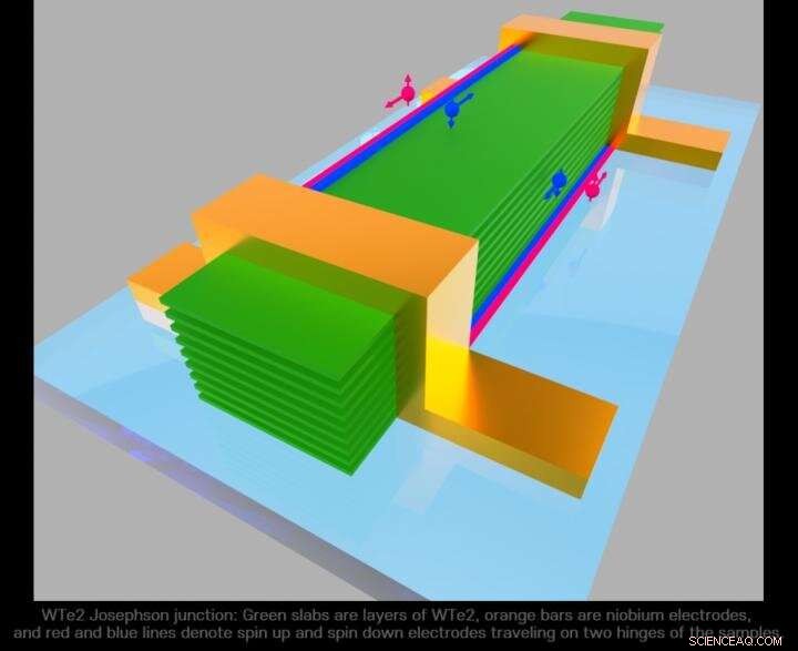 Discovery of Higher-Order Topology in a 2‑D WTe₂ Crystal