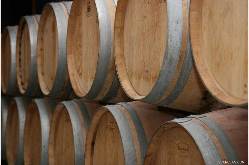 Oak Barrel Coumarins: The Hidden Source of Bitterness in Wine and Spirits