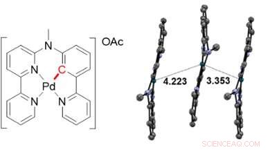 Harnessing Light and Nanoparticles for Targeted Cancer Therapy