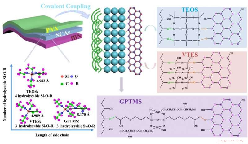 Silane Tuning of Composite Thermal Conductivity: A Molecular-Level Study