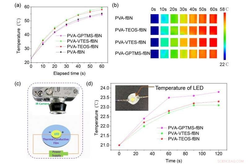 Silane Tuning of Composite Thermal Conductivity: A Molecular-Level Study