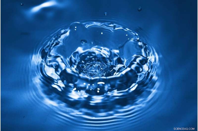 New Princeton & Sapienza Study Confirms Two-Phase Liquid Water Theory