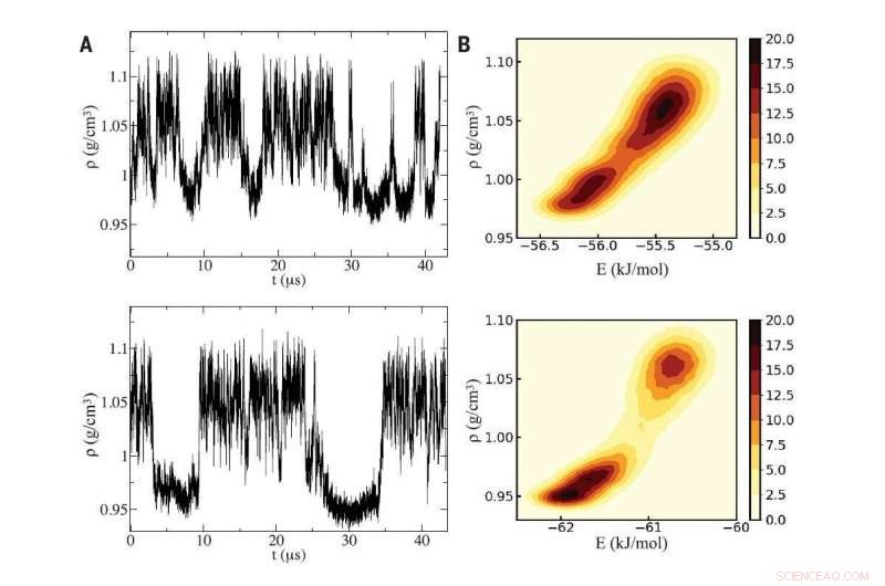 New Princeton & Sapienza Study Confirms Two-Phase Liquid Water Theory