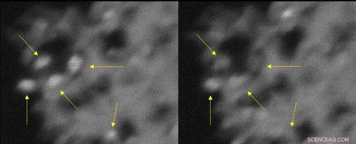 Blinking Nanoparticles Could Pave the Way for Faster Quantum Computers