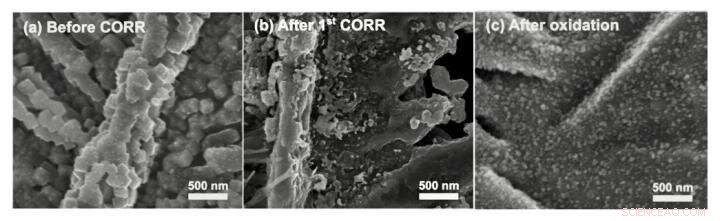 Unlocking Renewable Solar Fuels: The Key Role of Dynamic Catalyst Activation