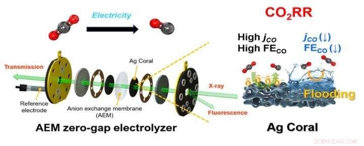 KIST Breakthrough: High‑Performance Large‑Area Electrode Boosts Artificial Photosynthesis