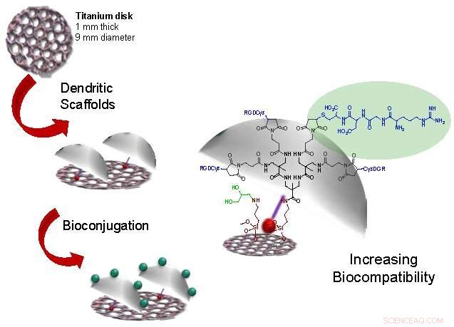 Revolutionizing Bone Implants: 3D Titanium Nanostructure Enhances Osseointegration