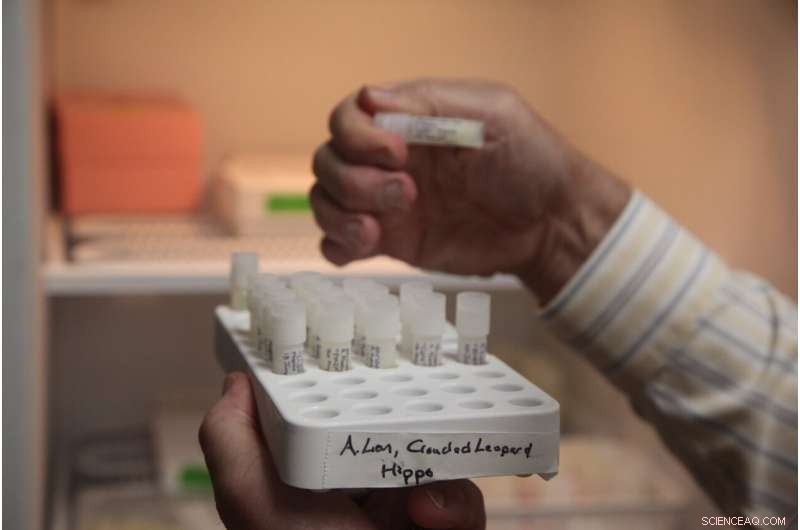 NIST Enhances Milk Compound Database to Accelerate Identification of Unknown Substances