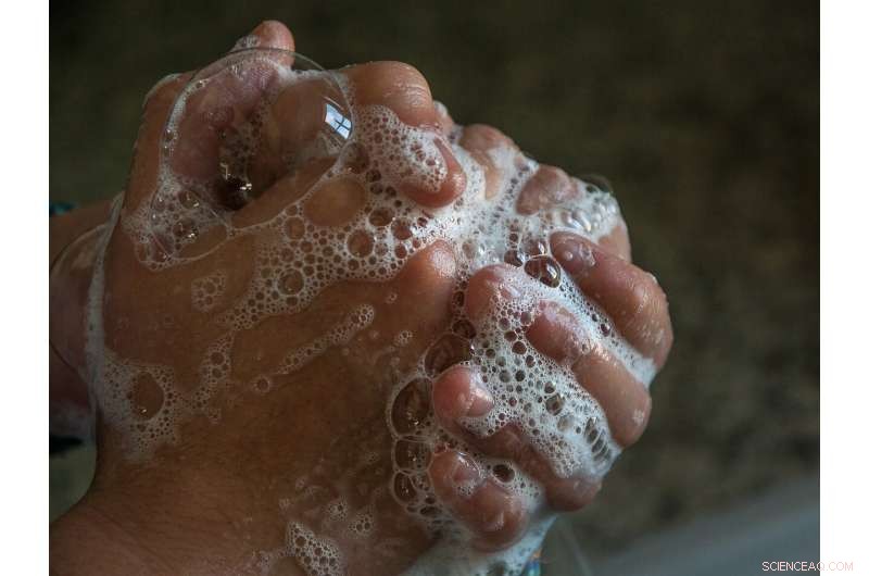 Tel Aviv University Innovates Low‑Cost Hand Sanitizer from Plant and Paper Waste