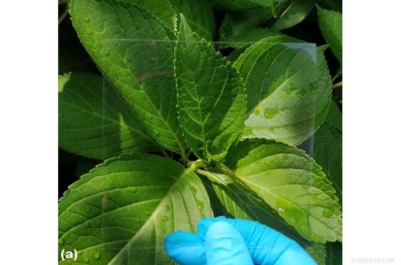 Researchers Deliver Transparent, Broadband EMI Shielding Materials for Advanced Optoelectronics