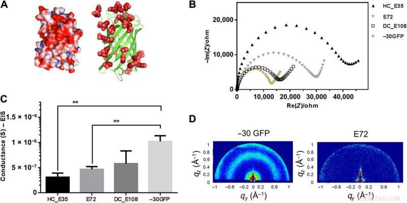 Engineering a Freestanding, Supercharged Polypeptide Membrane for Enhanced Proton Conductivity