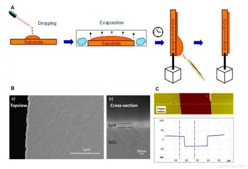 Engineering a Freestanding, Supercharged Polypeptide Membrane for Enhanced Proton Conductivity