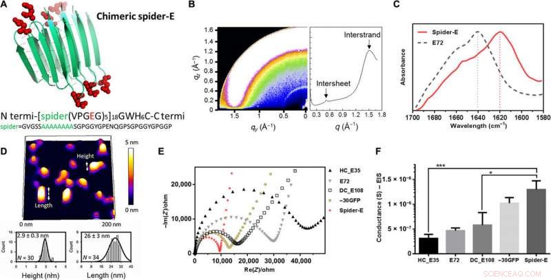 Engineering a Freestanding, Supercharged Polypeptide Membrane for Enhanced Proton Conductivity