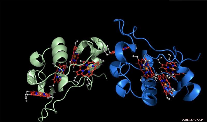 Scientists Advance Understanding of Long-Distance Electron Transfer in Cells
